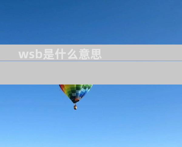 wsb是什么意思