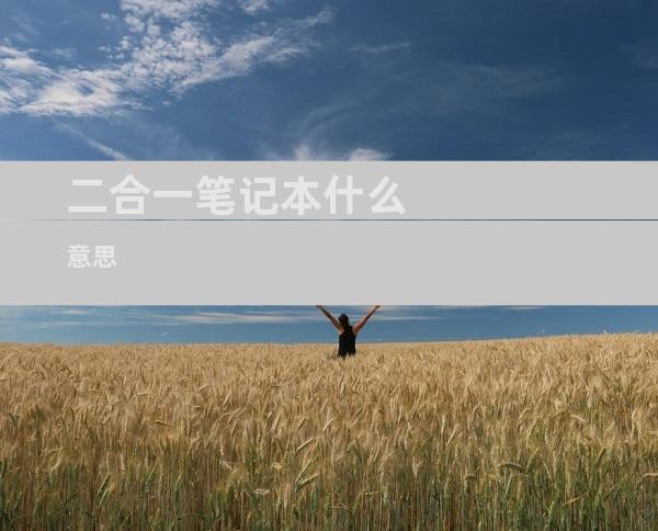 二合一笔记本什么意思