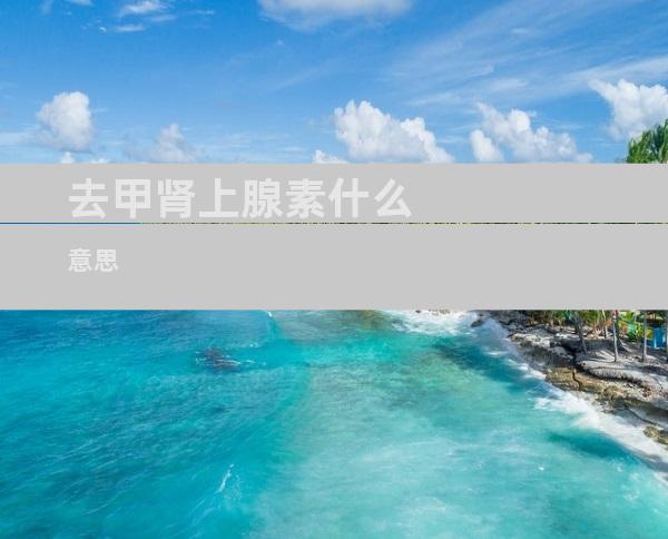去甲肾上腺素什么意思
