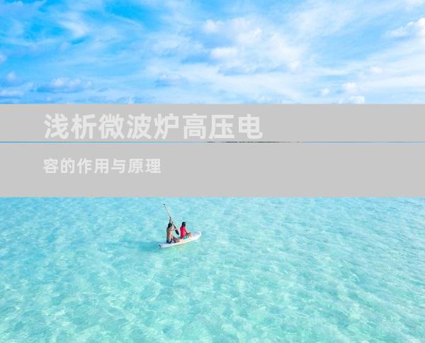 浅析微波炉高压电容的作用与原理