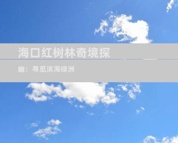 海口红树林奇境探幽：寻觅滨海绿洲