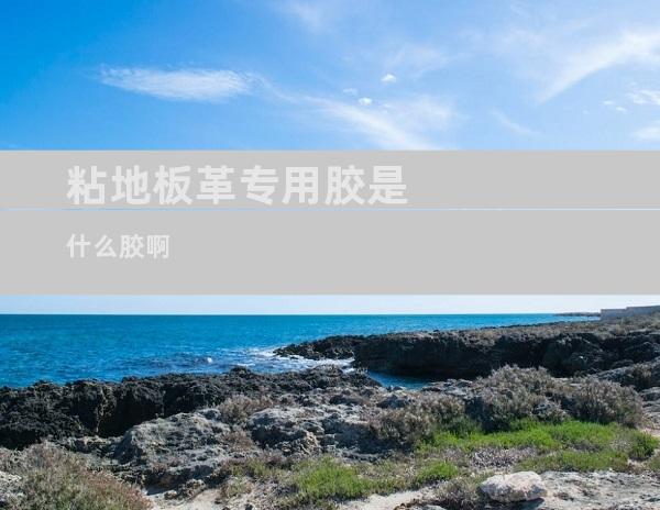 粘地板革专用胶是什么胶啊