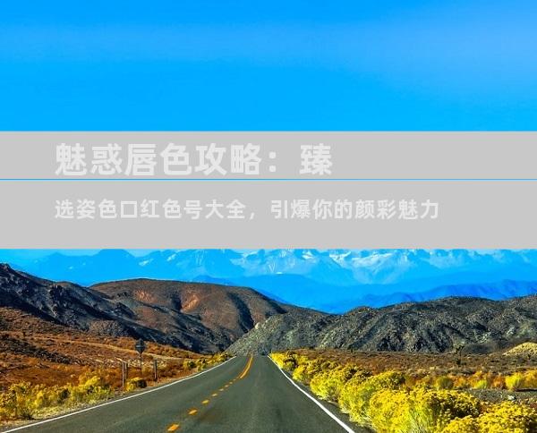 魅惑唇色攻略：臻选姿色口红色号大全，引爆你的颜彩魅力