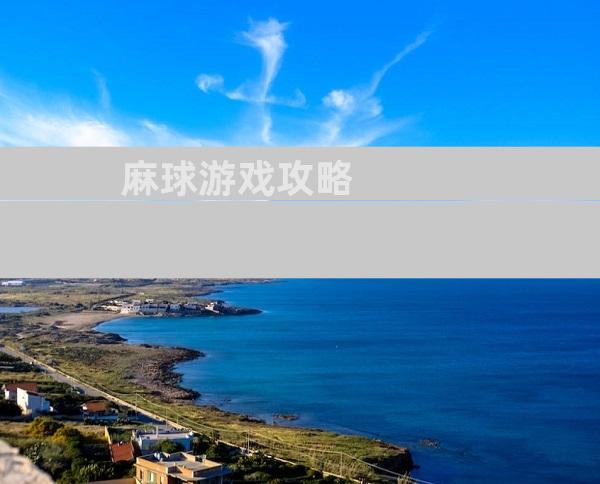 麻球游戏攻略