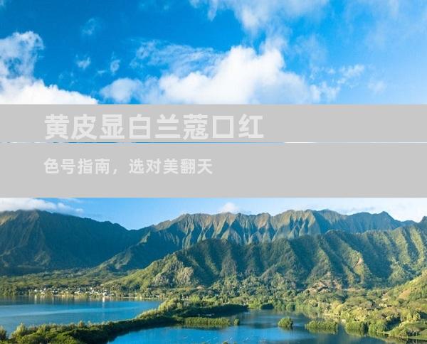 黄皮显白兰蔻口红色号指南，选对美翻天